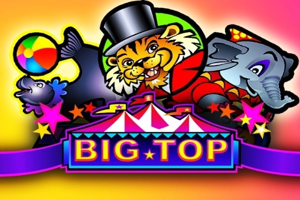 07792 big top