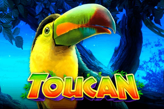 09048 toucan