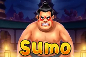 12143 sumo