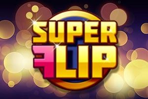 16670 super flip