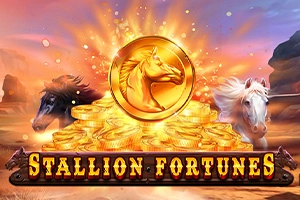 25145 stallion fortunes
